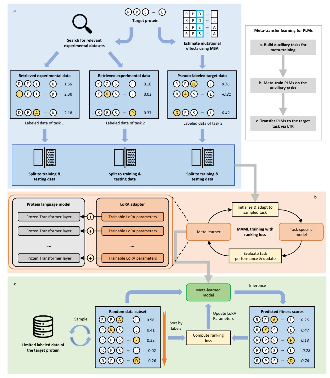 Figure 1 from Enhancing efficiency of protein language models with minimal wet-lab data through few-shot learning