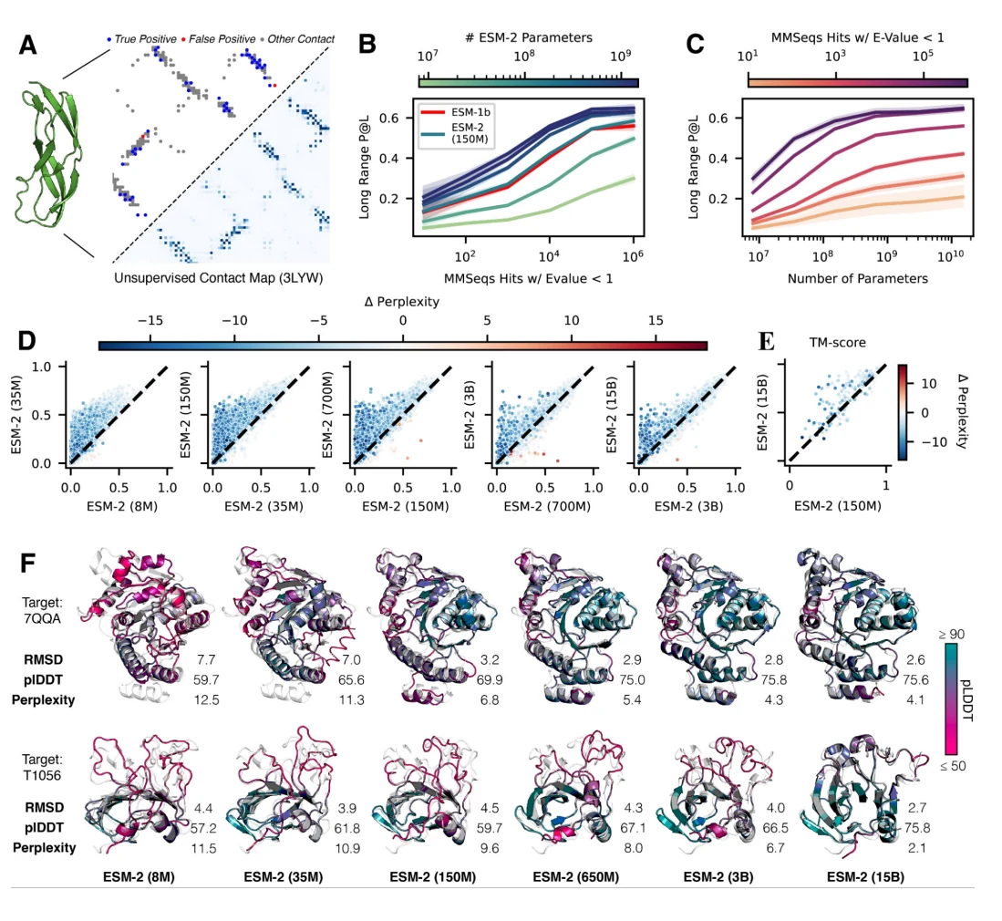 Figure 1 from Evolutionary-scale prediction of atomic level protein structure with a language model