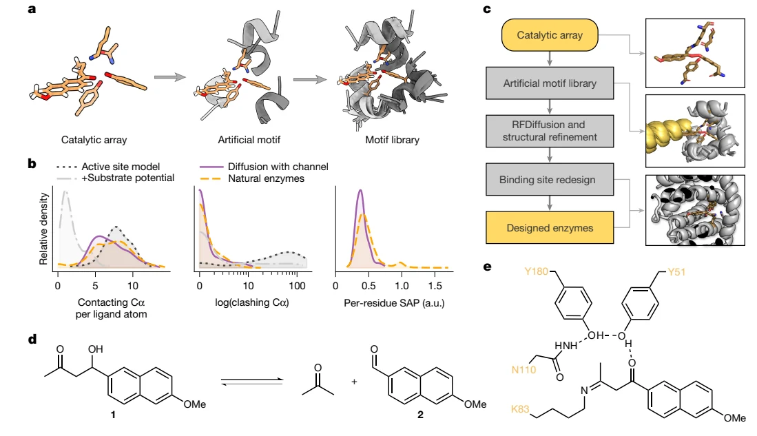 Figure 1 from Computational enzyme design by catalytic motif scaffolding