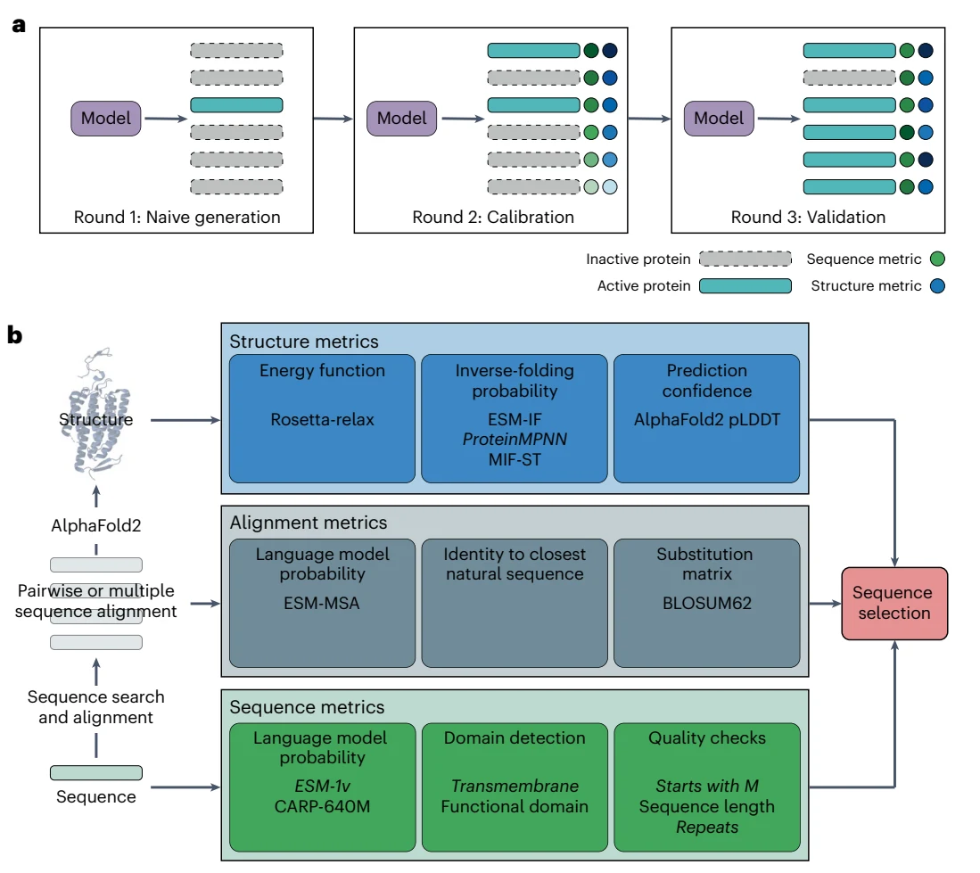 Figure 1 from Computational scoring and experimental evaluation of enzymes generated by neural networks