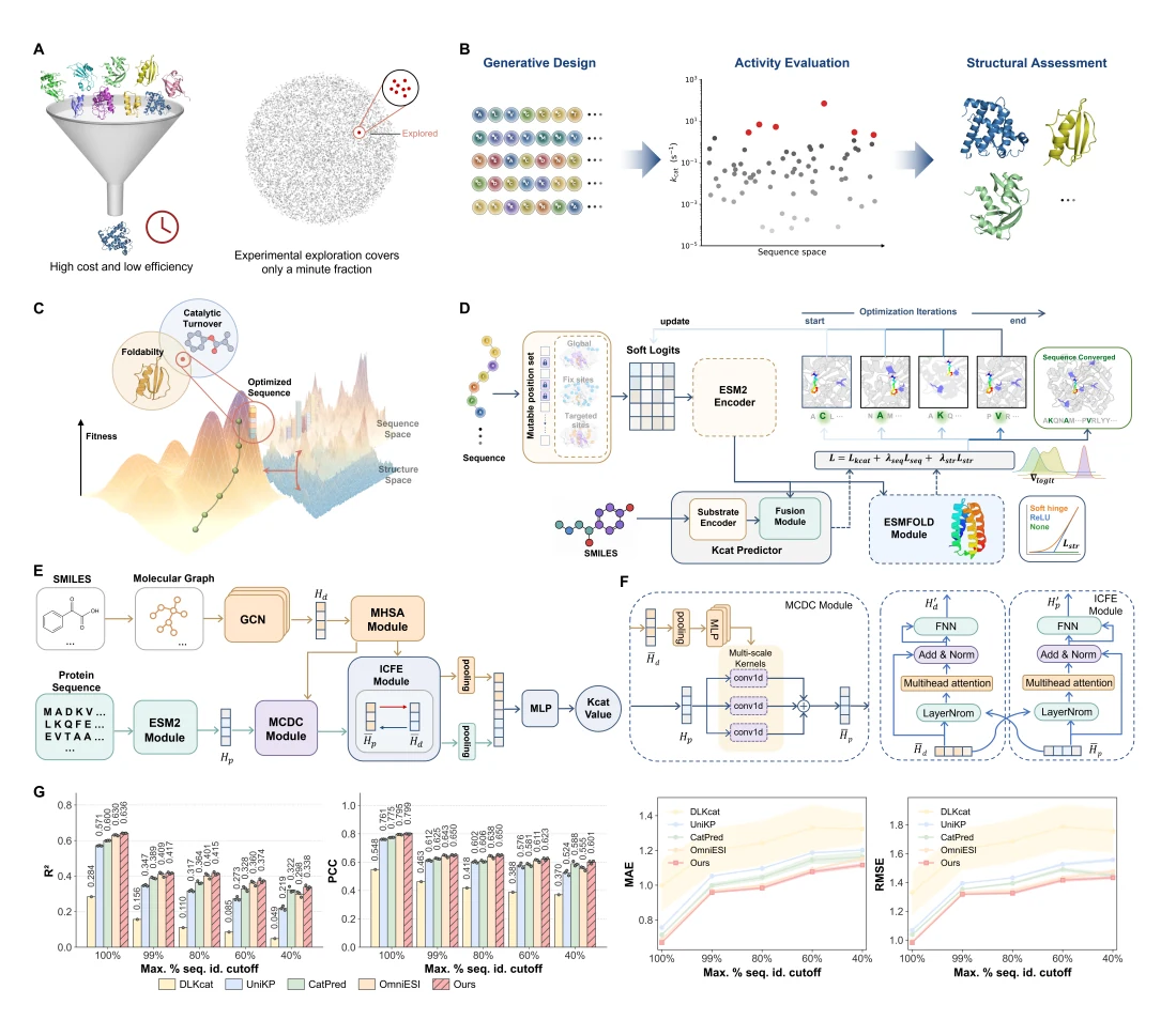 Figure 1 from CatESO: Differentiable Enzyme Sequence Optimization Guided by Substrate-Aware kcat Prediction