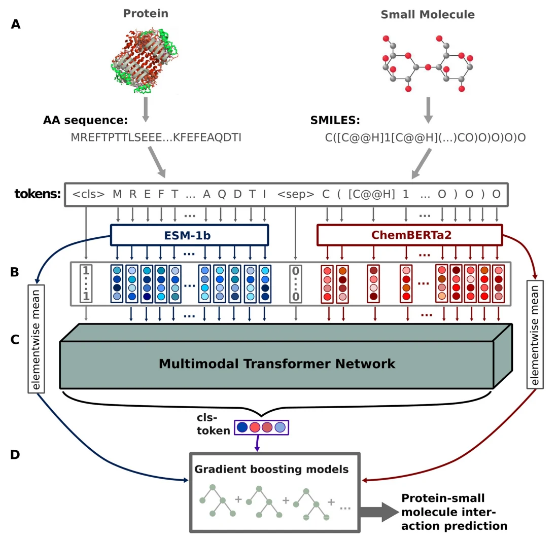 Figure 1 from A multimodal Transformer Network for protein-small molecule interactions enhances predictions of kinase inhibition and enzyme-substrate relationships