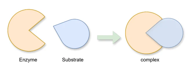Figure 1 from Multimodal Regression for Enzyme Turnover Rates Prediction
