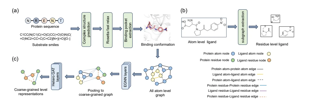 Figure 1 from Catalytic pocket-informed augmentation of enzyme kinetic parameters prediction via hierarchical graph learning