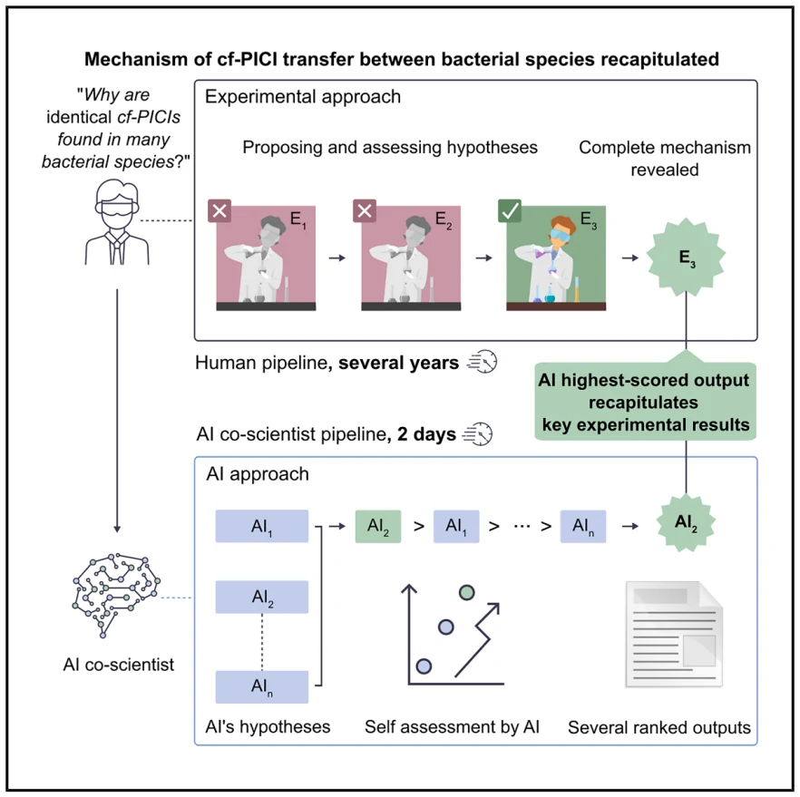 Graphical abstract from AI mirrors experimental science to uncover a mechanism of gene transfer crucial to bacterial evolution