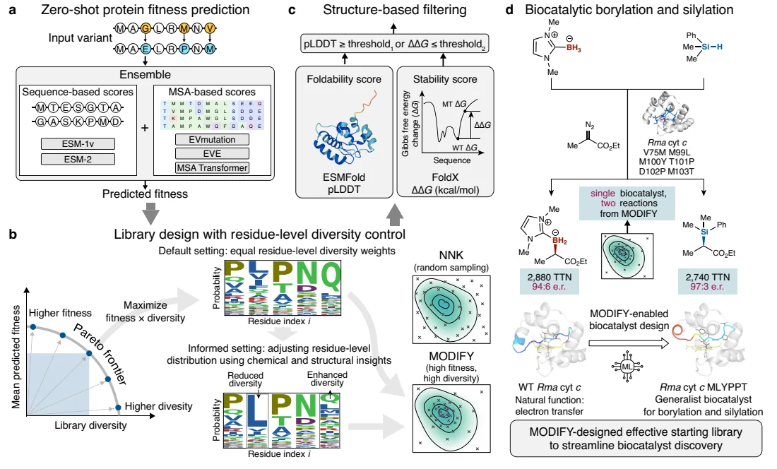 Figure 1 from Machine learning-guided co-optimization of fitness and diversity facilitates combinatorial library design in enzyme engineering