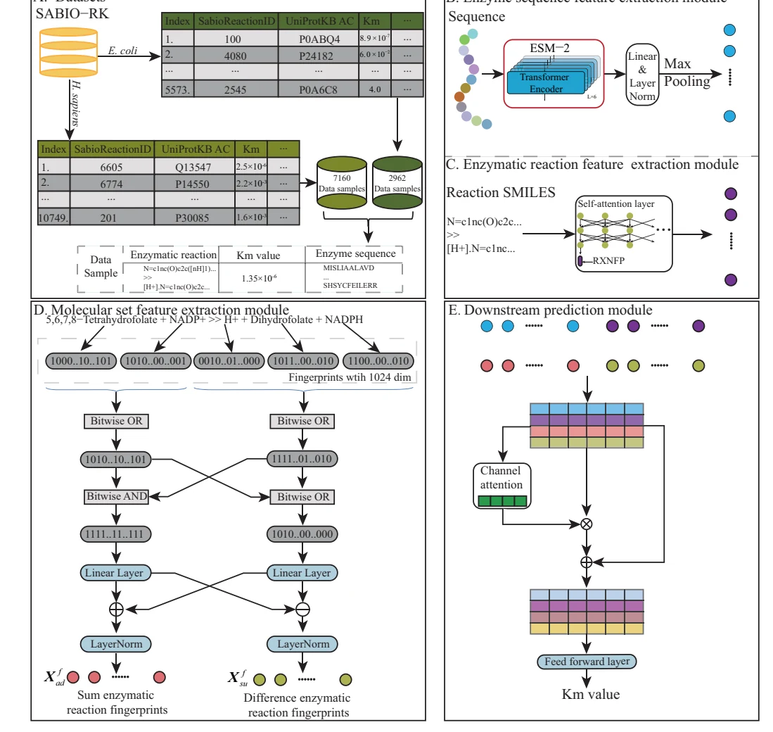 Figure 1 from A Deep Learning-Based Approach for Predicting Michaelis Constants from Enzymatic Reactions