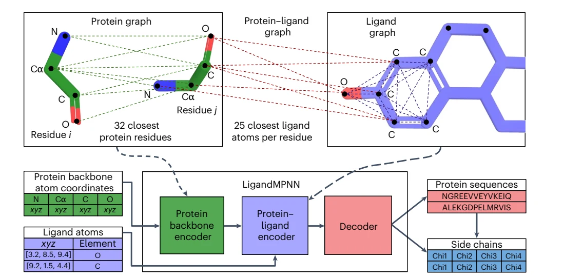 Figure 1 from Atomic context-conditioned protein sequence design using LigandMPNN