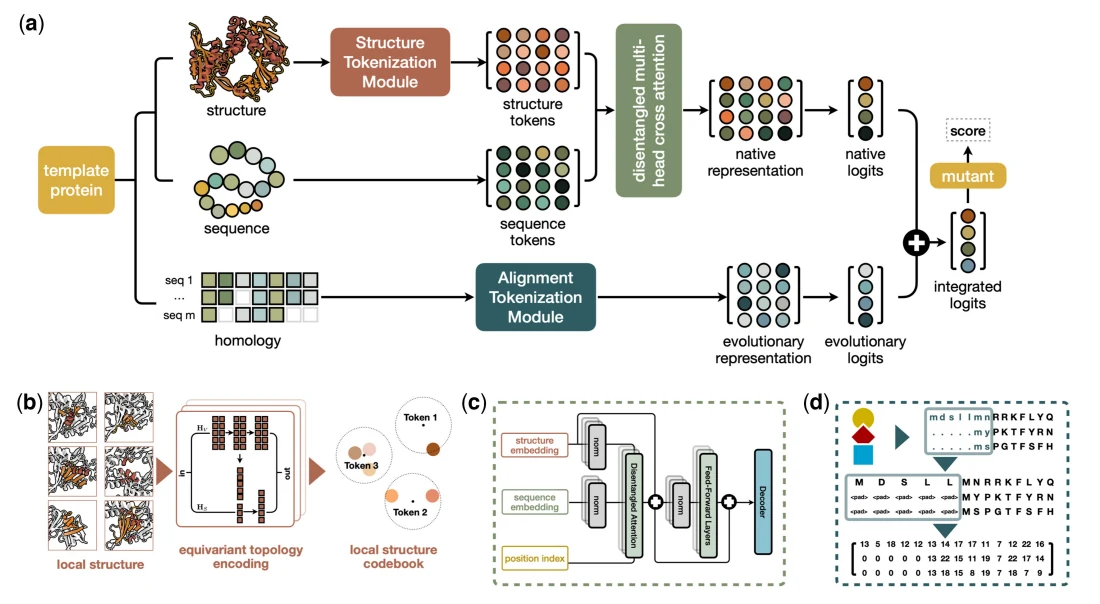 Figure 1 from From high-throughput evaluation to wet-lab studies: advancing mutation effect prediction with a retrieval-enhanced model