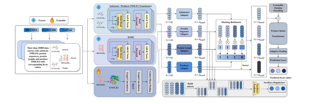 Figure 1 from A multimodal deep learning framework for enzyme turnover prediction with missing modality