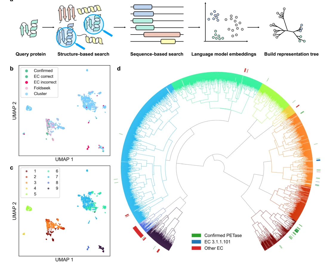 Figure 1 from Harnessing protein language model for structure-based discovery of highly efficient and robust PET hydrolases