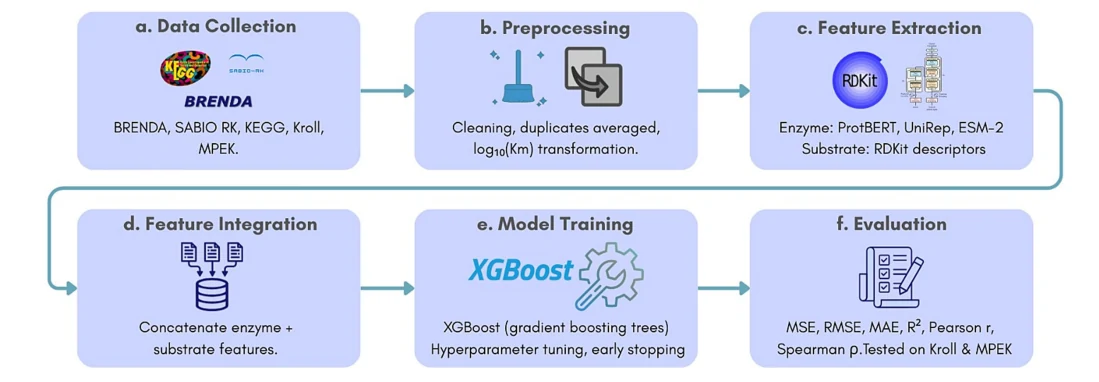 Figure 1 from KmPred: prediction of Michaelis constants (Km) using an integrative machine learning framework