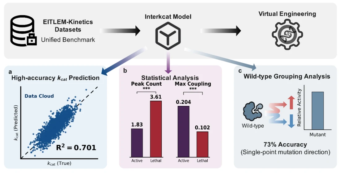 Figure 1 from Decoding enzyme-substrate interaction topology reveals principles underlying catalytic efficiency and mutational outcomes