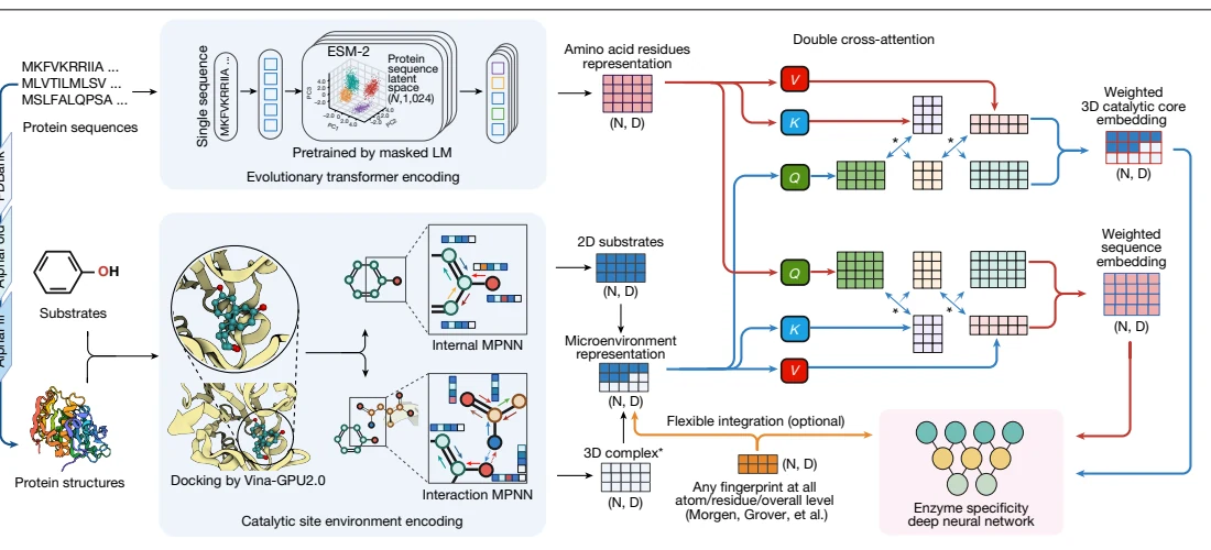 Figure 1 from Enzyme specificity prediction using cross-attention graph neural networks
