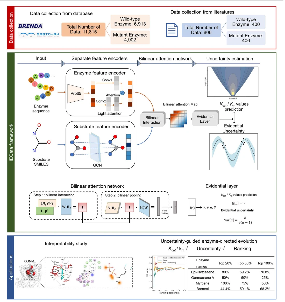 Figure 1 from IECata: interpretable bilinear attention network and evidential deep learning improve the catalytic efficiency prediction of enzymes