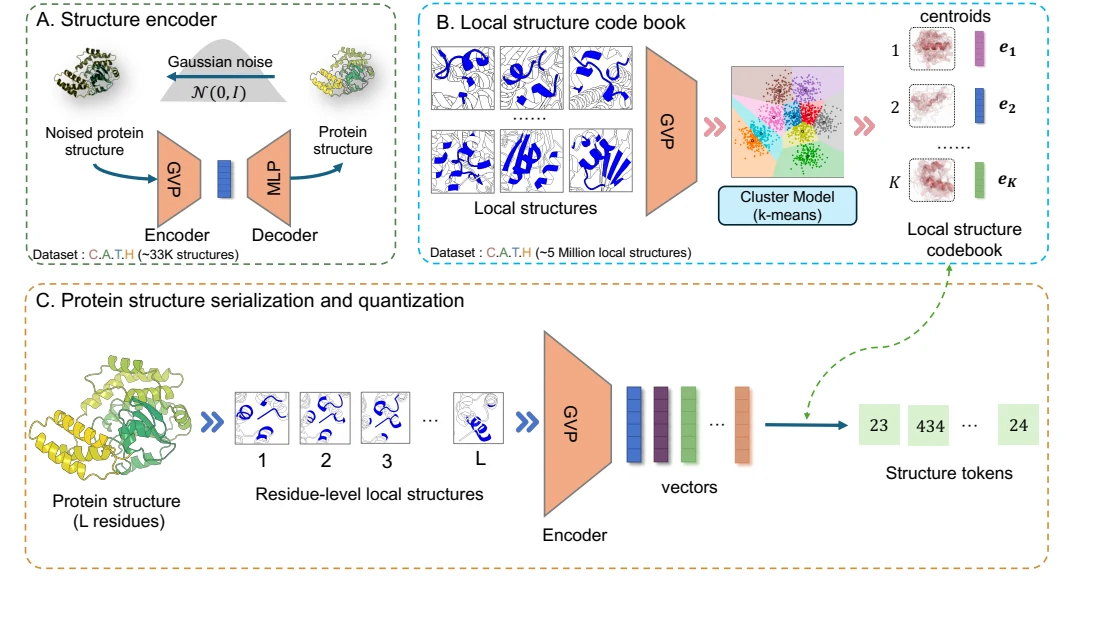 Figure 1 from ProSST: Protein Language Modeling with Quantized Structure and Disentangled Attention