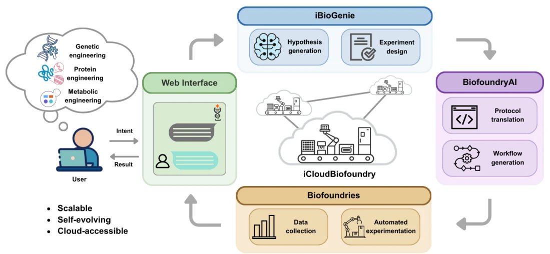 Figure 1 from An AI-powered cloud biofoundry for autonomous biological research: Architecture diagram connecting the web interface, reasoning and experiment-design components, workflow translation, and distributed biofoundries.
