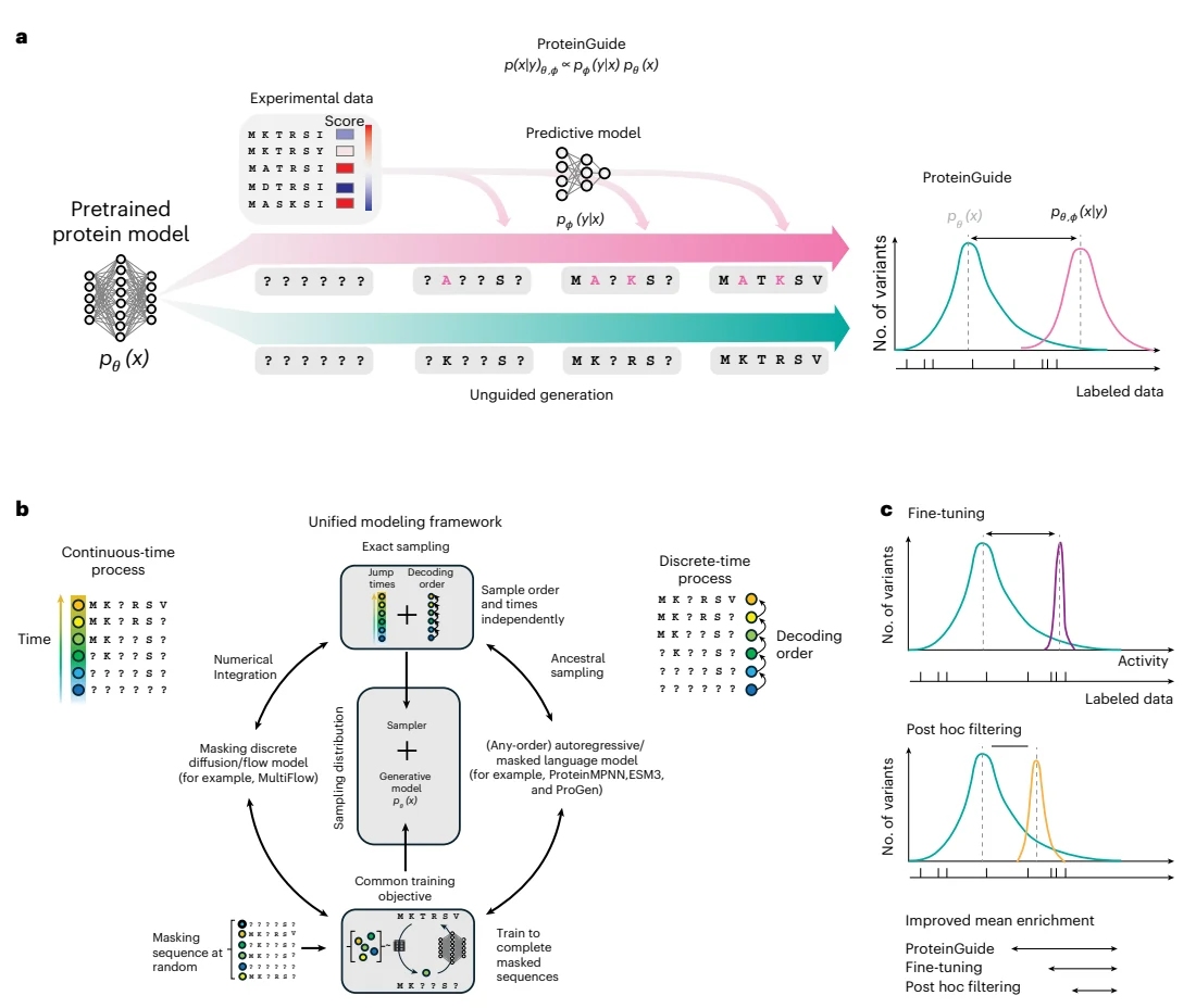 Figure 1 from Property guidance for protein sequence generative models with ProteinGuide