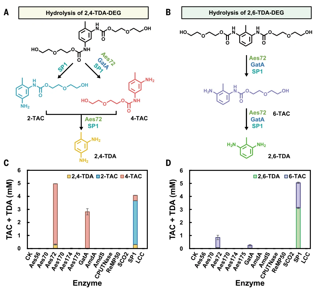 Figure 1 from Glycolysis-compatible urethanases for polyurethane recycling