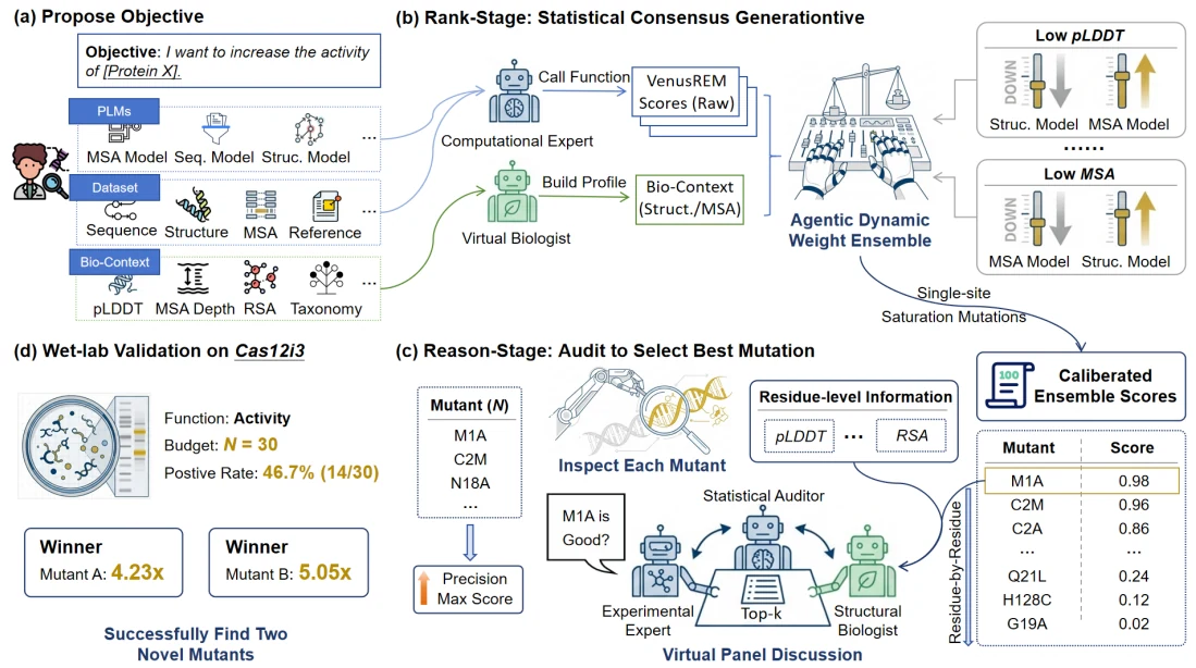 Figure 1 from Rank-and-Reason: Multi-Agent Collaboration Accelerates Zero-Shot Protein Mutation Prediction