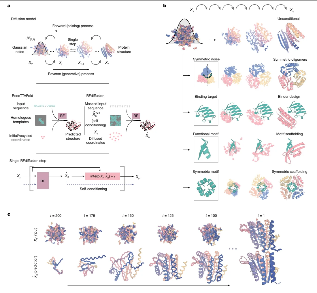 Figure 1 from De novo design of protein structure and function with RFdiffusion