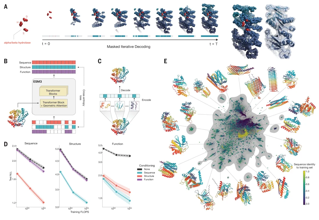 Figure 1 from Simulating 500 million years of evolution with a language model