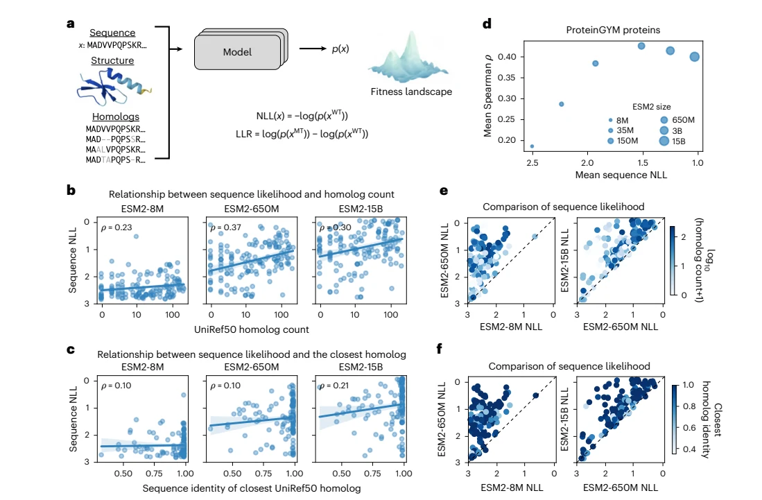 Figure 1 from Understanding language model scaling for protein fitness prediction
