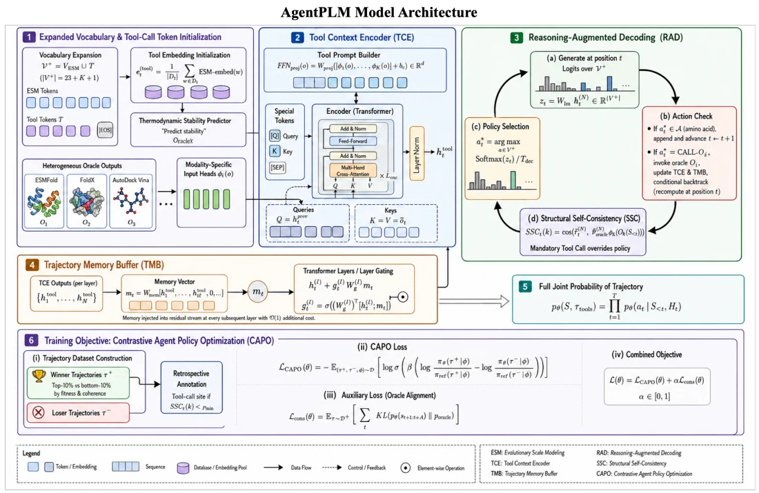 Figure 1 from AgentPLM: Agentic Protein Language Models with Reasoning-Augmented Decoding for Protein Sequence Design: Architecture diagram with vocabulary and tool-call initialization, trajectory memory, reasoning-augmented decoding, and the training objective.