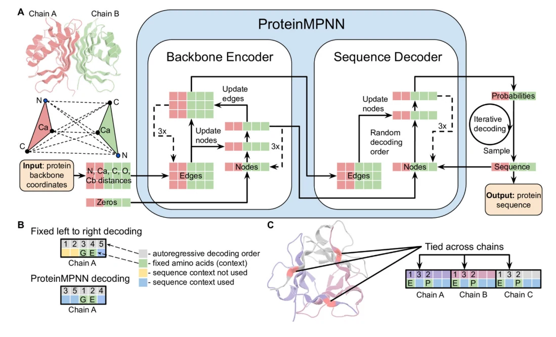 Figure 1 from Robust deep learning–based protein sequence design using ProteinMPNN