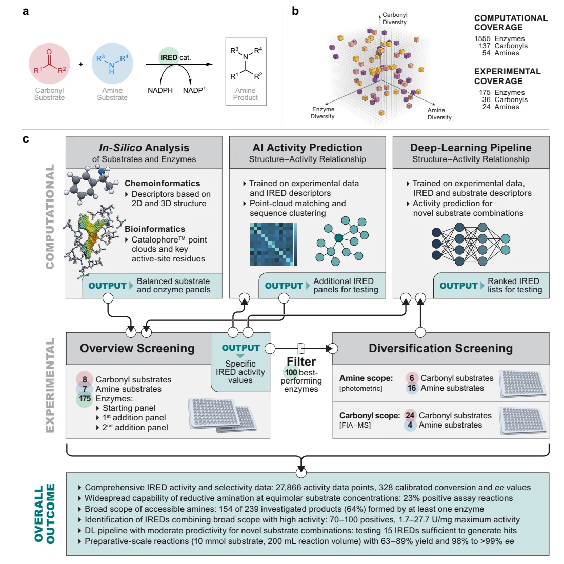 Figure 1 from Data-driven construction of an imine reductase library capable of broad-scope reductive amination at equimolar substrate concentrations