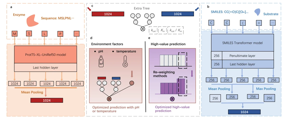 Figure 1 from UniKP: a unified framework for the prediction of enzyme kinetic parameters