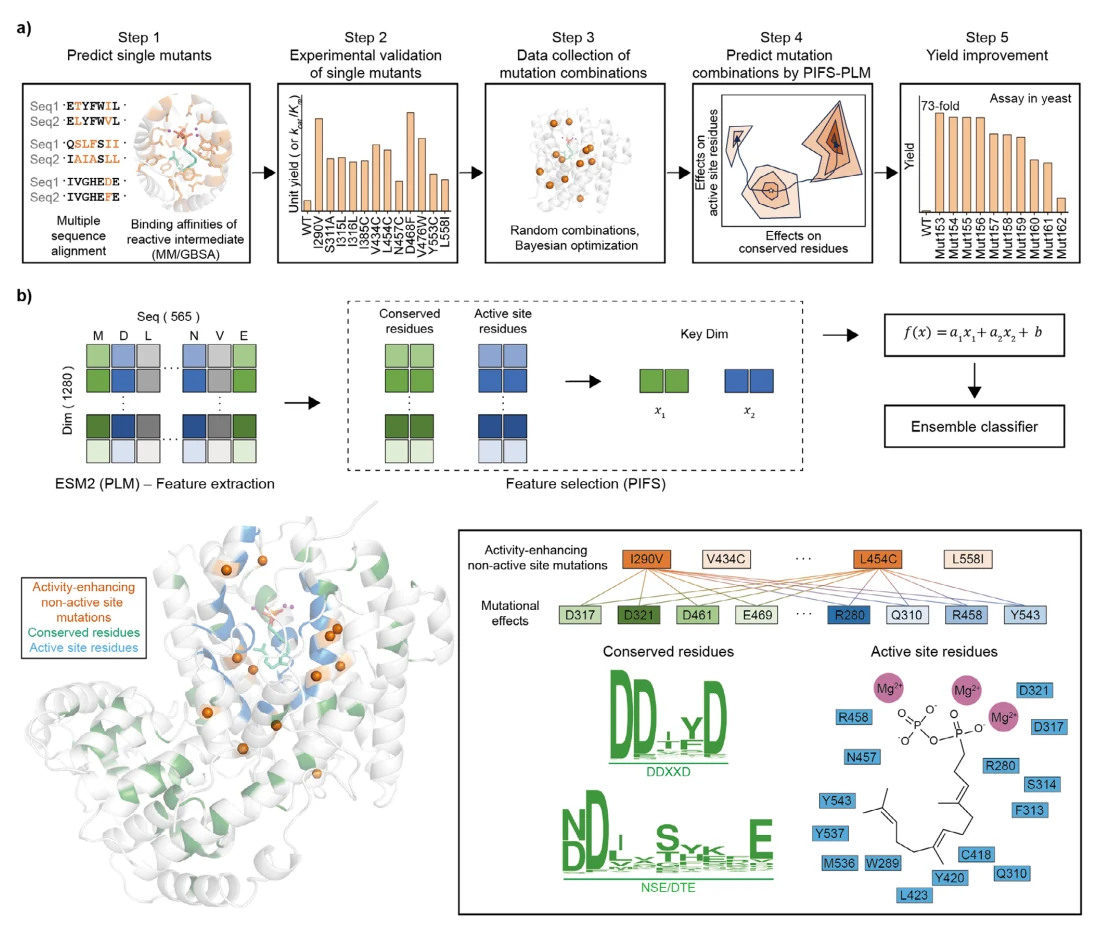 Figure 1 from Enhancing Enzyme Activity With Mutation Combinations Guided by Few-Shot Learning and Causal Inference