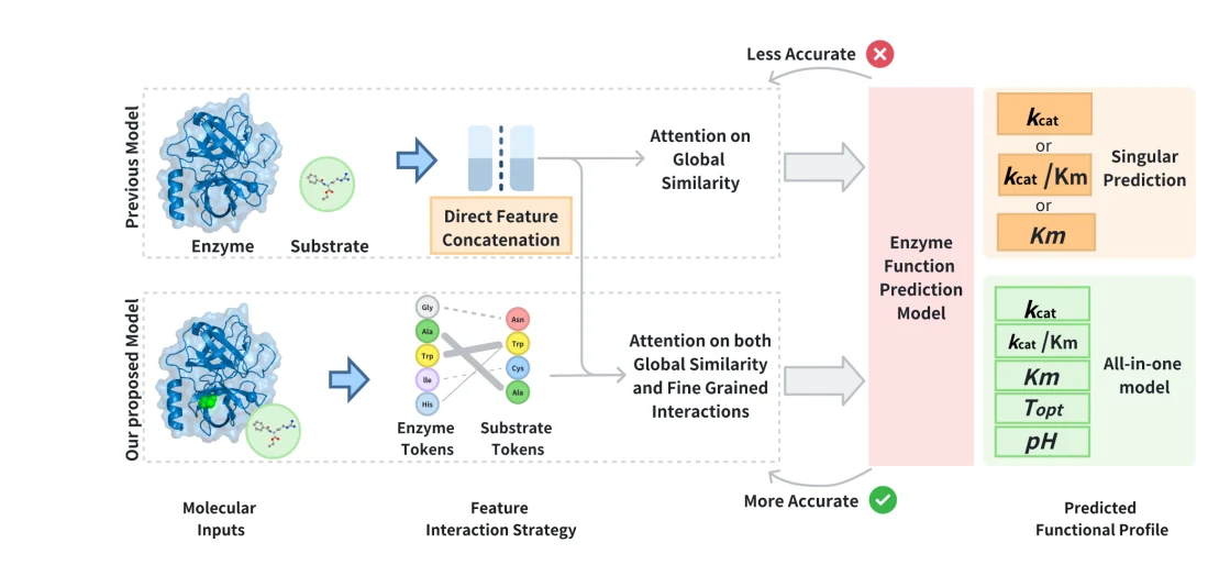 Figure 1 from ENZYME-UNIFIED: LEARNING HOLISTIC REPRESENTATIONS OF ENZYME FUNCTION WITH A HYBRID INTERACTION MODEL