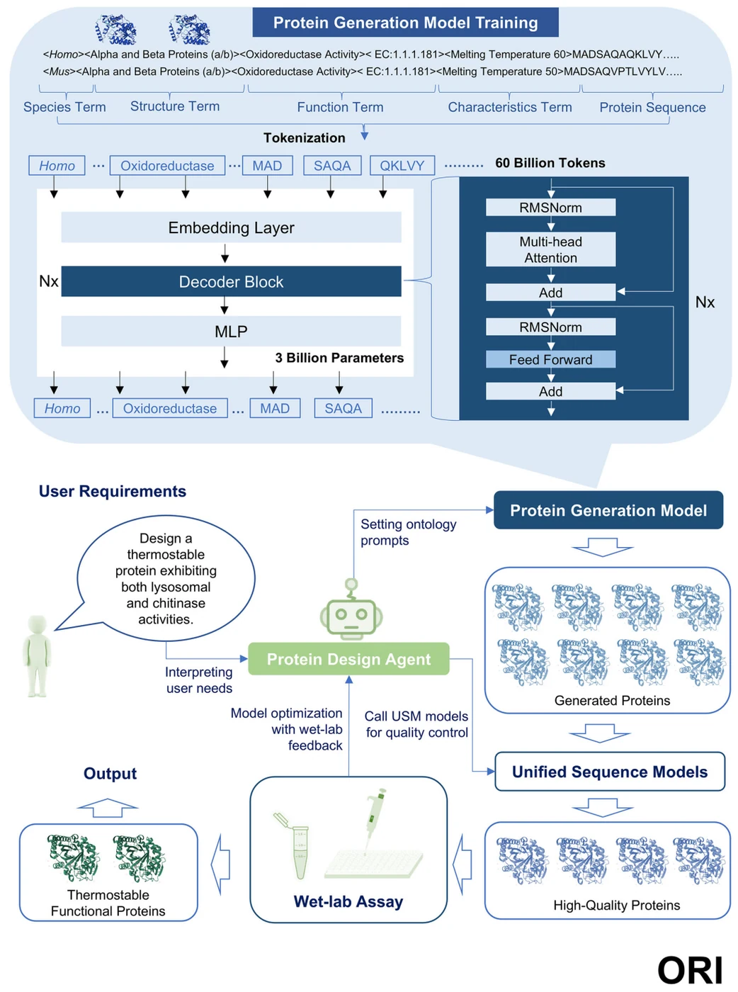 Figure 1 from Functional protein design and enhancement with ontology reinforcement iteration