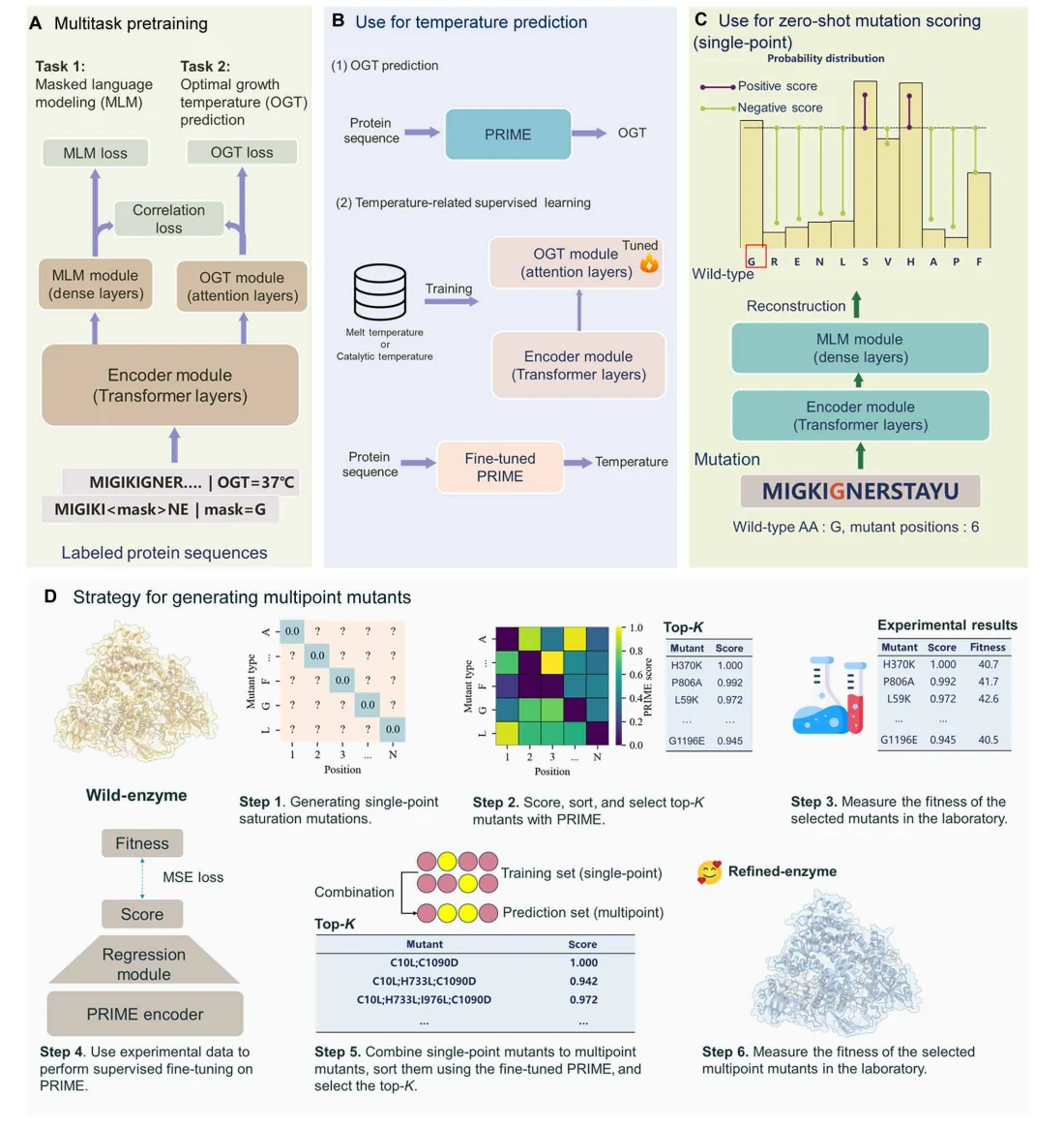 Figure 1 from A general temperature-guided language model to design proteins of enhanced stability and activity