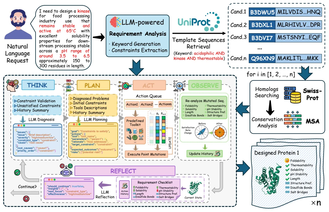 Figure 1 from PDAgent: An LLM-Driven Autonomous Agent Framework Towards *In Silico* Protein Design via Directed Mutation: Framework diagram showing request analysis, sequence retrieval, conservation analysis, and a reflective optimization loop.