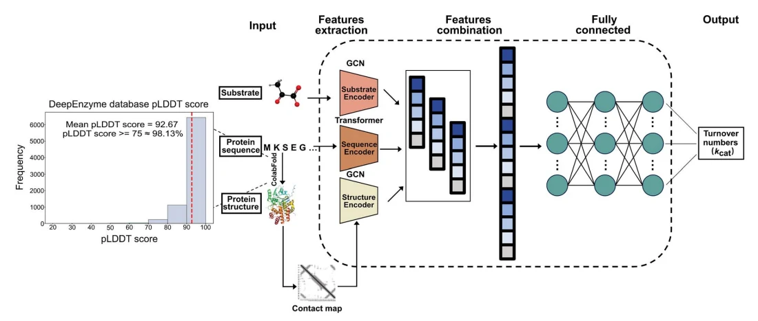 Figure 1 from DeepEnzyme: a robust deep learning model for improved enzyme turnover number prediction by utilizing features of protein 3D-structures