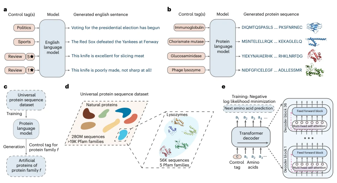 Figure 1 from Large language models generate functional protein sequences across diverse families