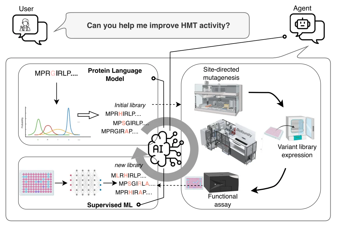 Figure 1 from A generalized platform for artificial intelligence-powered autonomous enzyme engineering