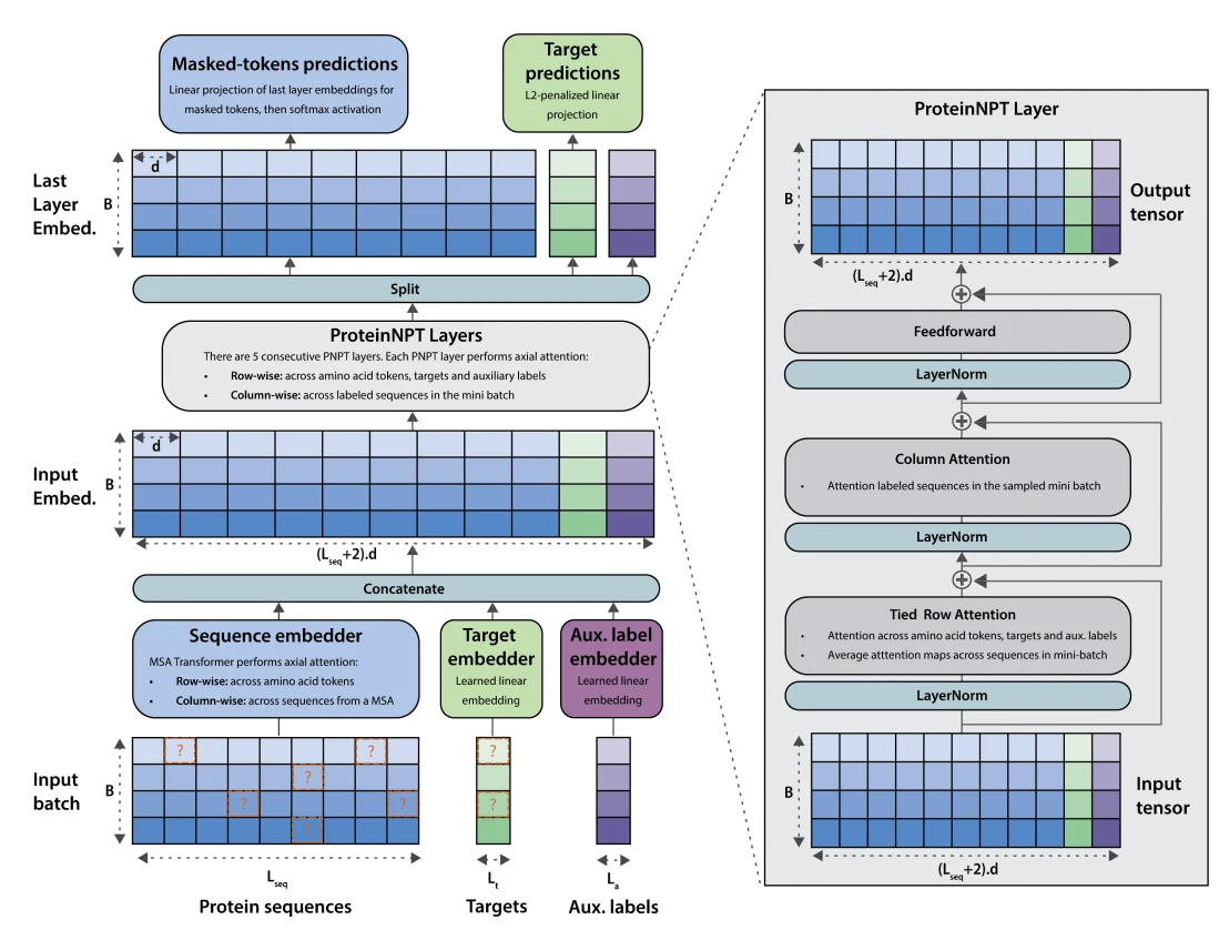 Figure 1 from ProteinNPT: Improving Protein Property Prediction and Design with Non-Parametric Transformers