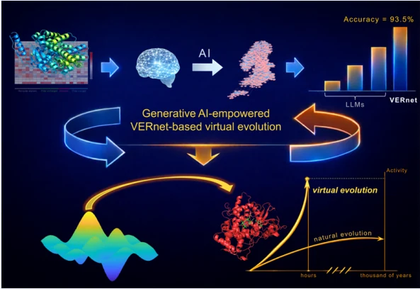 Graphical abstract from Generative Artificial Intelligence-Empowered Virtual Evolution of Enzyme with the VERnet Model