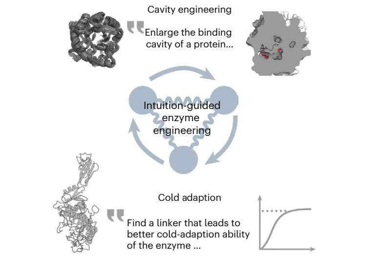 Figure 1 from MutexaGPT: an intuition-to-design translator for physics-based enzyme engineering