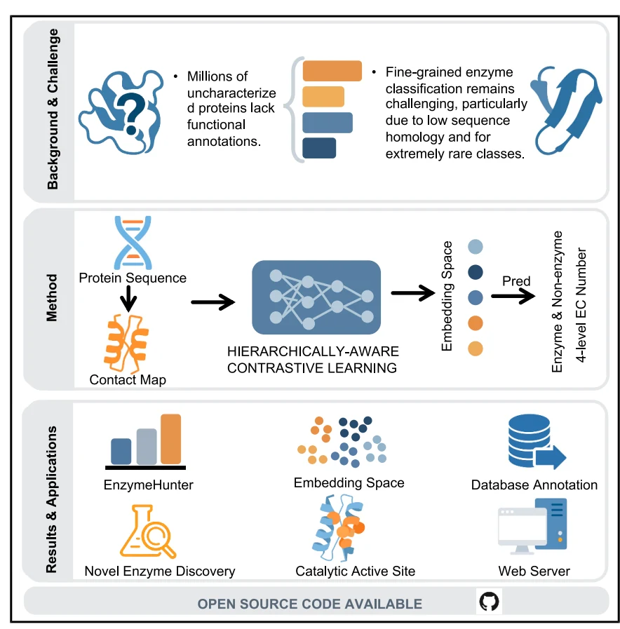 Graphical abstract from EnzymeHunter: Achieving fine-grained enzyme function prediction with a hierarchically aware contrastive learning framework