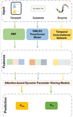 Graphical abstract from TCNeKP: A Novel Deep Learning Architecture for Enzyme Catalytic Activity Prediction