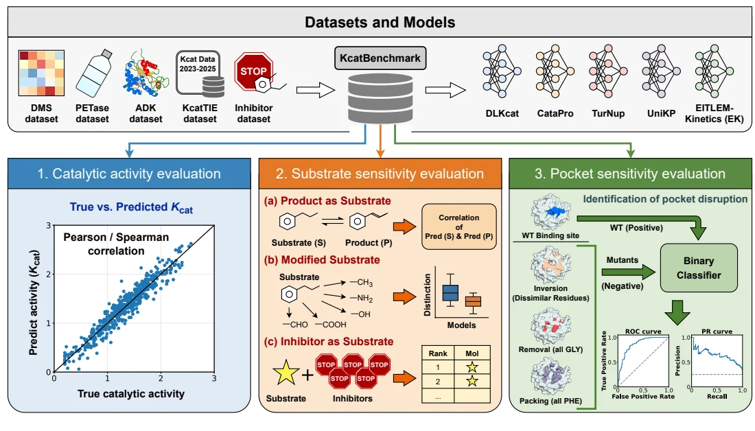 Figure 1 from Deep learning for enzyme kcat prediction: what works, what doesn't, and why?