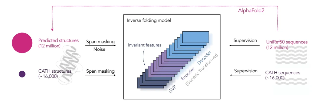 Figure 1 from Learning inverse folding from millions of predicted structures