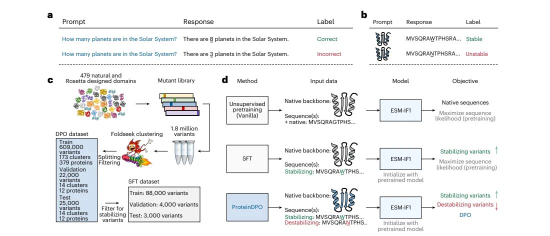 Figure 1 from Aligning protein-generative models to experimental fitness with ProteinDPO