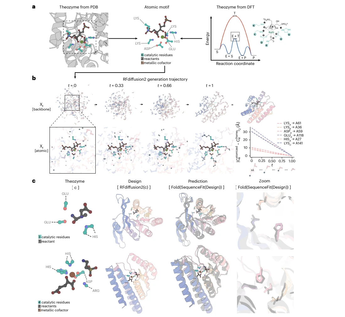 Figure 1 from Atom-level enzyme active site scaffolding using RFdiffusion2