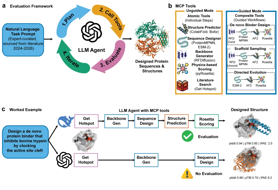 Figure 1 from Benchmarking and behavioral characterization of LLM agents for protein design