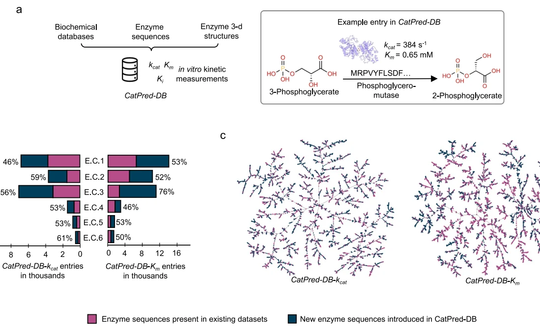 Figure 1 from CatPred: a comprehensive framework for deep learning in vitro enzyme kinetic parameters